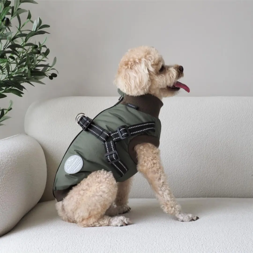 Hundejakke Thor med indbygget sele Grøn XS